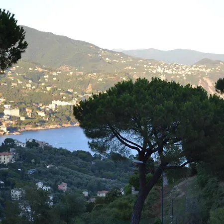 Quadrilocale Portofino Est Апартаменты